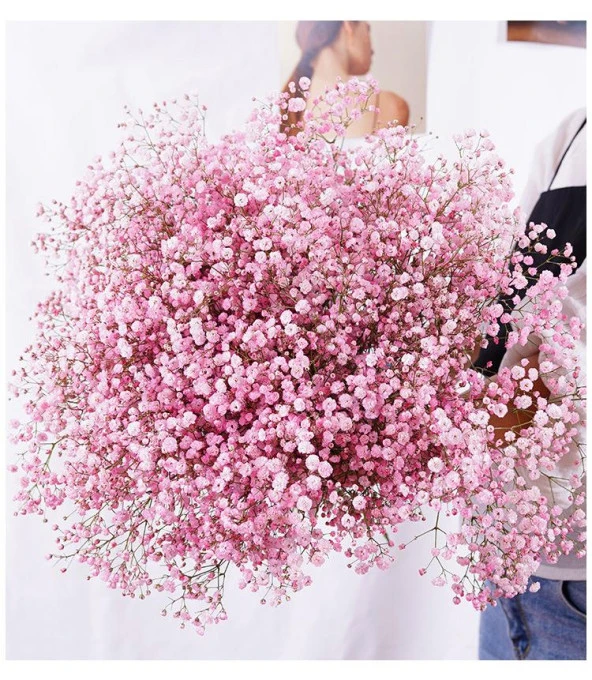 Nettenevime Kuru Çiçek Doğal PEMBE Cipso 50gram 1. Kalite Şoklanmış Bozulmaz - Resim 4