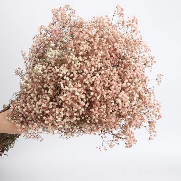 Kuru Çiçek Doğal PUDRA PEMBE Cipso 50gram 1. Kalite Şoklanmış Bozulmaz - 2