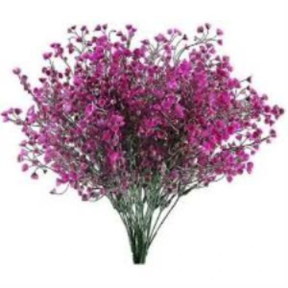 Nettenevime Kuru Çiçek Doğal FUŞYA Cipso 50gram 1. Kalite Şoklanmış Bozulmaz - Resim 2