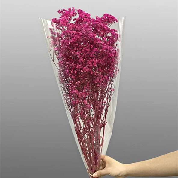 Nettenevime Kuru Çiçek Doğal FUŞYA Cipso 50gram 1. Kalite Şoklanmış Bozulmaz - Resim 3