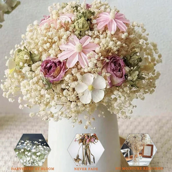 Nettenevime Kuru Çiçek Doğal KREM Cipso 50gram 1. Kalite Şoklanmış Bozulmaz - 8