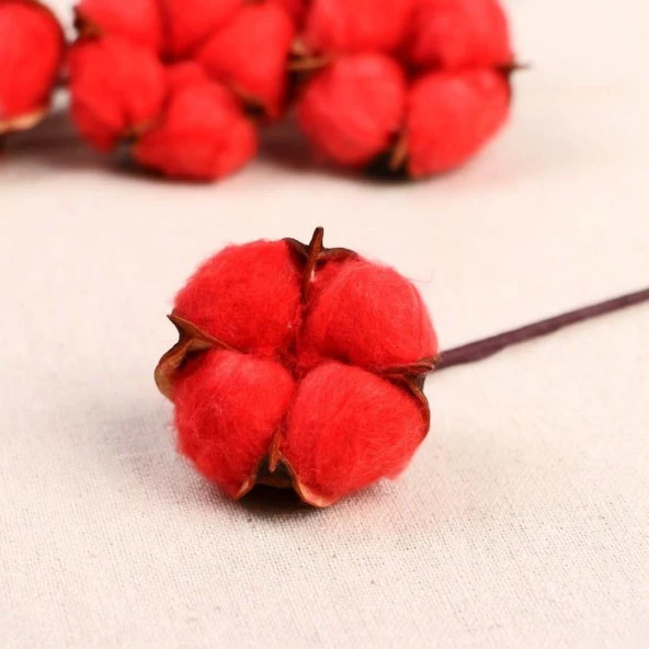 Nettenevime Doğal Pamuk Çiçeği Kırmızı 10 Adet Tekli Dal Kuru Çiçek 30 cm Yapay Çiçek - Resim 2