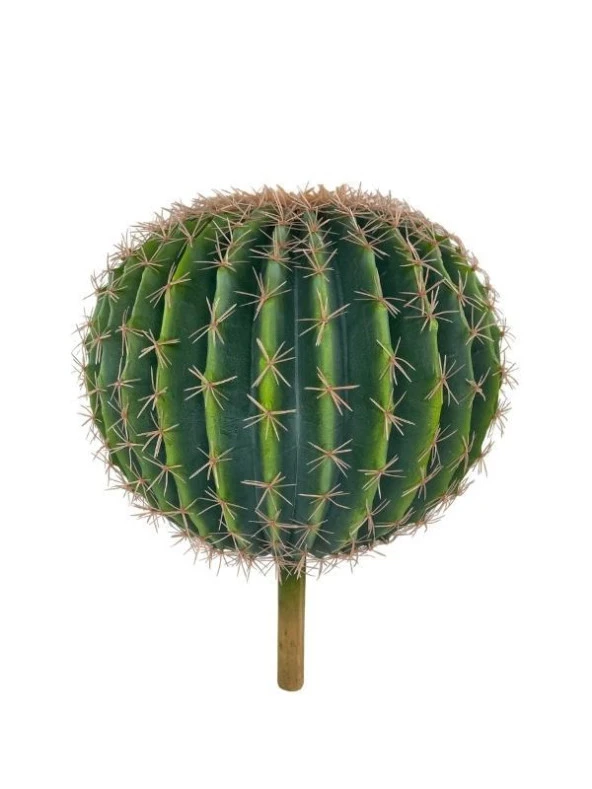 Nettenevime Yapay Çiçek Echinocactus Grusonii Altın Fıçı Kaktüs  35*35cm Cactüs  sk4011