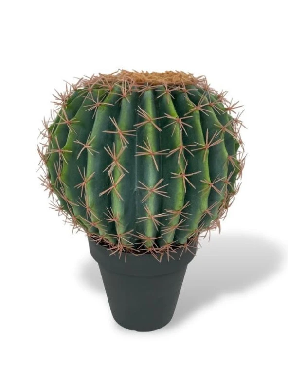 Nettenevime Yapay Çiçek Echinocactus Grusonii Altın Fıçı Kaktüs Siyah Saksıda 35*25m Cactüs  sk4010s