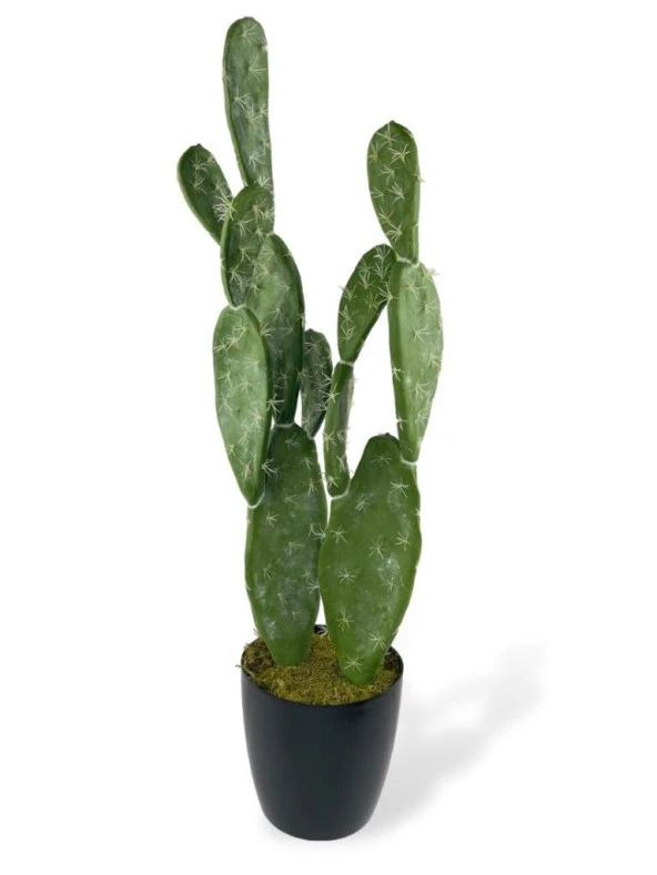 Yapay Çiçek Kaktüs Ağacı Opuntia 90cm Siyah Saksıda  2Boy Set sk4017
