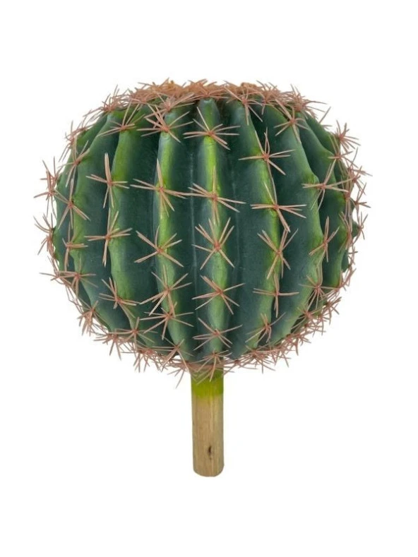 Nettenevime Yapay Çiçek Echinocactus Grusonii Altın Fıçı Kaktüs  25*25cm Cactüs  sk4010