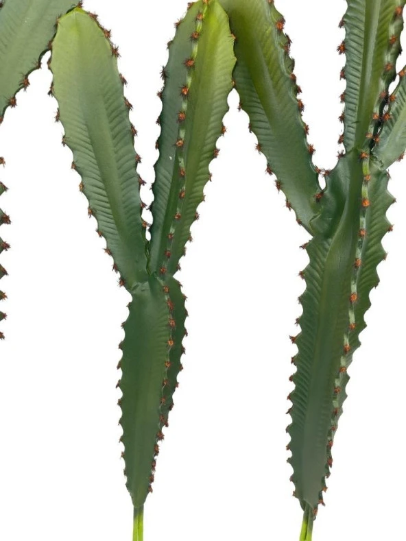 Nettenevime Yapay Çiçek Kaktüs Ağacı 60cm 3Köşeli 3Boy Set sk4020 - Resim 5