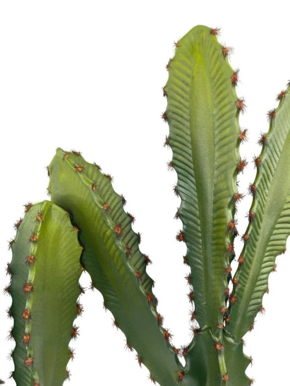 Nettenevime Yapay Çiçek Kaktüs Ağacı 60cm 3Köşeli 3Boy Set sk4020 - Resim 6