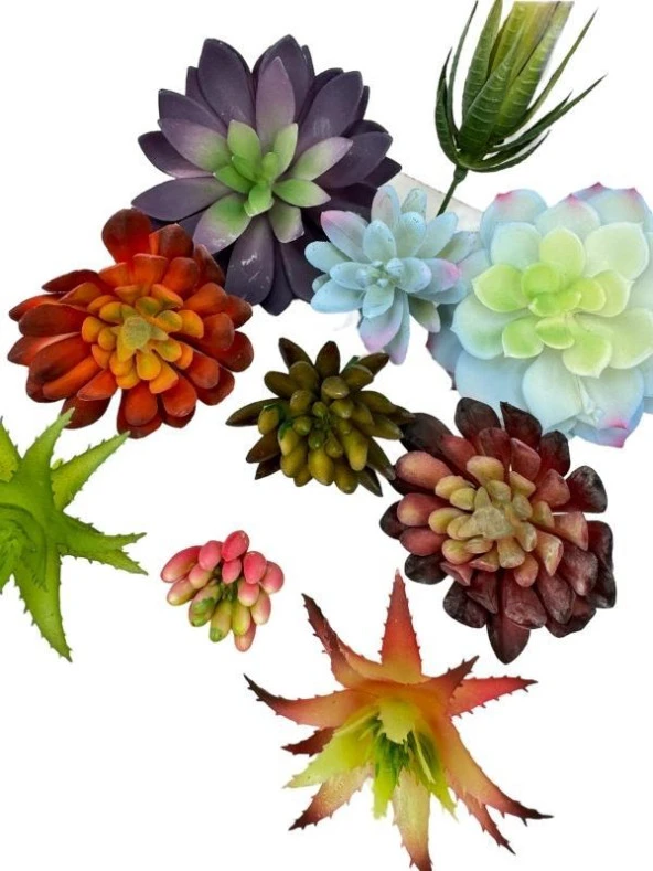 Nettenevime 10lu Set Yapay Çiçek Kaktüs Sukulent Modelleri 10 Karışık Model Skulent - 2
