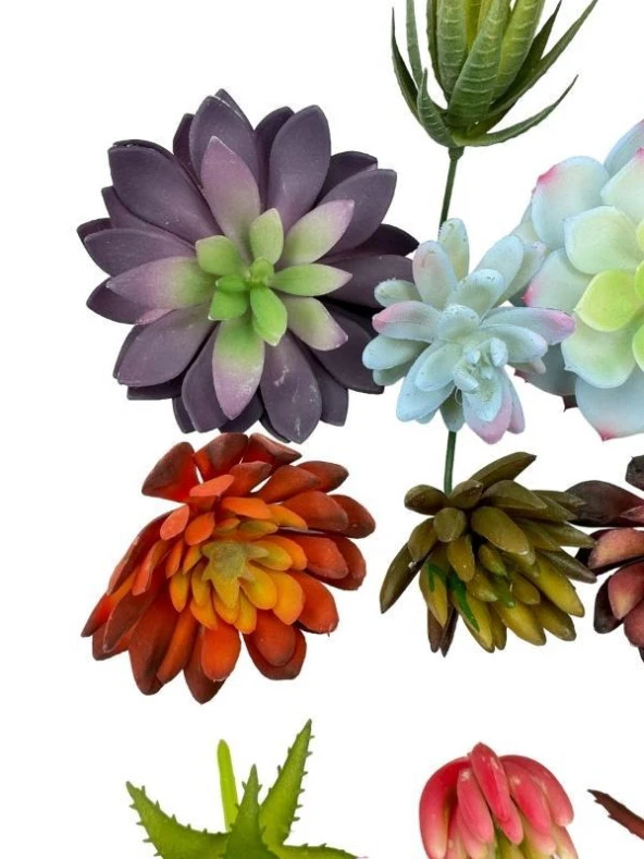 Nettenevime 10lu Set Yapay Çiçek Kaktüs Sukulent Modelleri 10 Karışık Model Skulent - 3