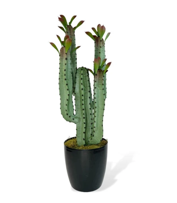 Nettenevime Yapay Çiçek Kaktüs Ağacı 4kollu Kızıl YapraklıSiyah Saksıda 70*22cm 4027