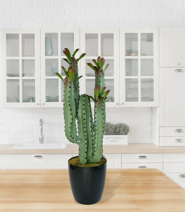 Nettenevime Yapay Çiçek Kaktüs Ağacı 4kollu Kızıl YapraklıSiyah Saksıda 70*22cm 4027 - Resim 2