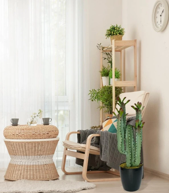 Nettenevime Yapay Çiçek Kaktüs Ağacı 4kollu Kızıl YapraklıSiyah Saksıda 70*22cm 4027 - Resim 4