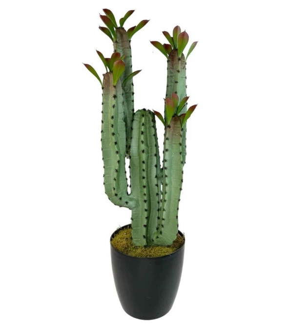 Nettenevime Yapay Çiçek Kaktüs Ağacı 4kollu Kızıl YapraklıSiyah Saksıda 70*22cm 4027 - Resim 5