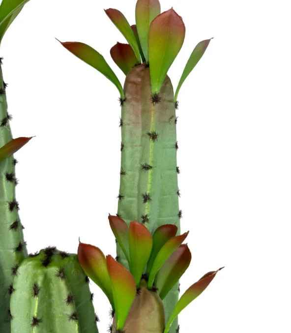 Nettenevime Yapay Çiçek Kaktüs Ağacı 4kollu Kızıl YapraklıSiyah Saksıda 70*22cm 4027 - Resim 7