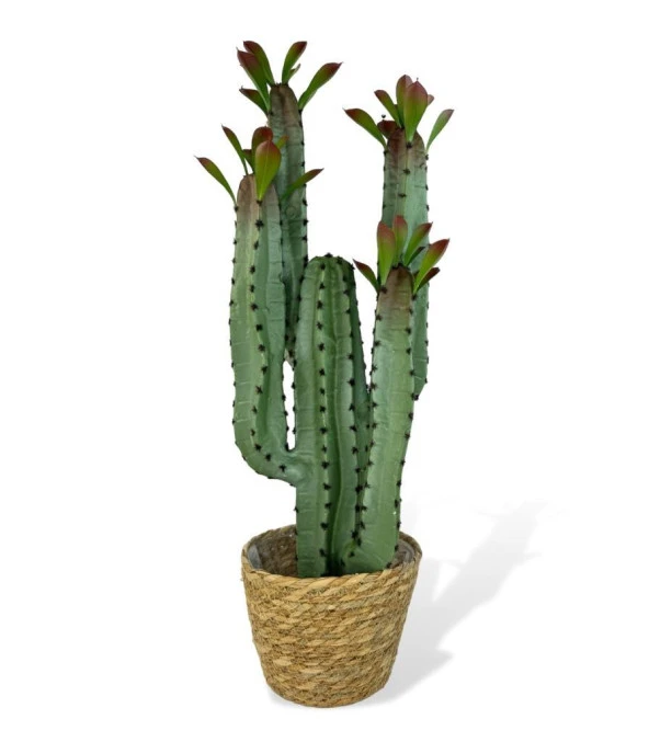 Nettenevime Yapay Çiçek Kaktüs Ağacı 4kollu Kızıl Yapraklı Hasır Saksıda 70*22cm 4027hsr