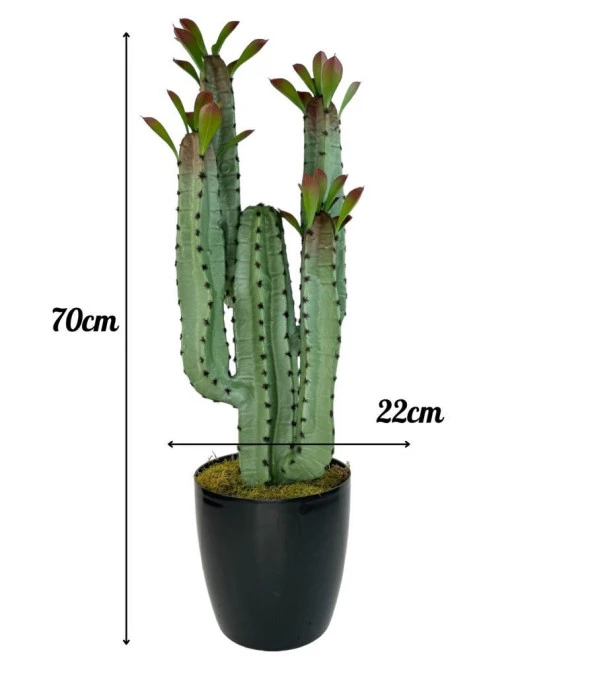 Nettenevime Yapay Çiçek Kaktüs Ağacı 4kollu Kızıl YapraklıSiyah Saksıda 70*22cm 4027 - Resim 8