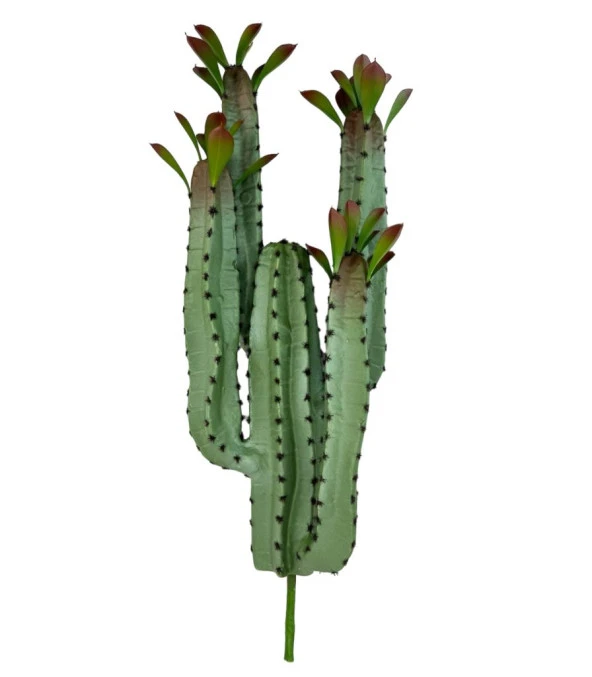 Nettenevime Yapay Çiçek Kaktüs Ağacı 4kollu Kızıl Yapraklı 70*22cm 4027 ürün görseli 1
