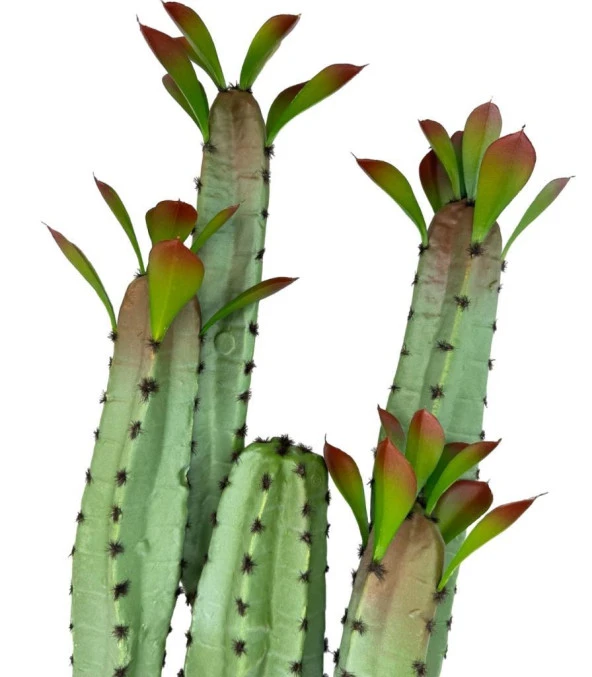 Nettenevime Yapay Çiçek Kaktüs Ağacı 4kollu Kızıl Yapraklı 70*22cm 4027 - Resim 3