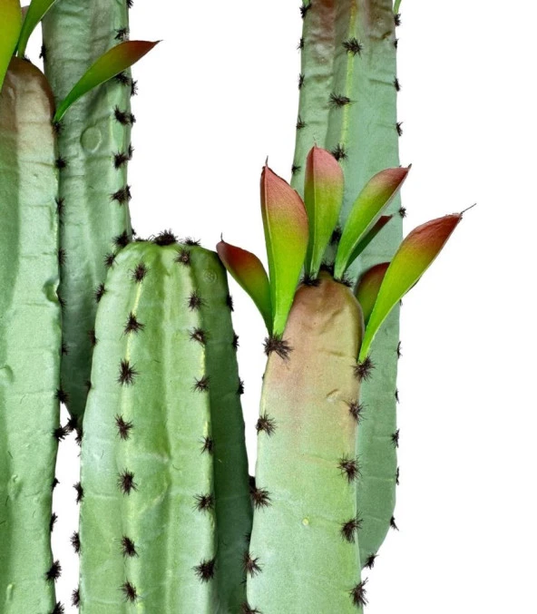 Nettenevime Yapay Çiçek Kaktüs Ağacı 4kollu Kızıl Yapraklı 70*22cm 4027 - Resim 4