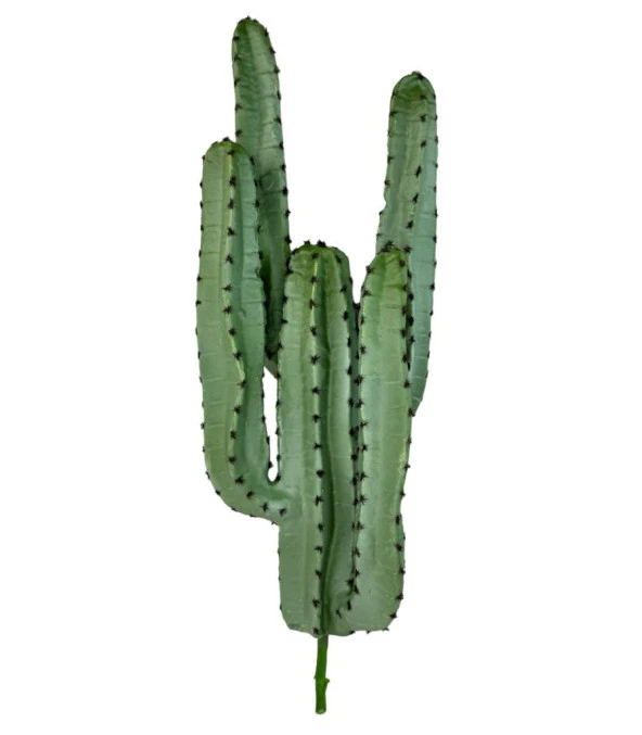 Nettenevime Yapay Çiçek Kaktüs Ağacı 4kollu 70*22cm 4026 ürün görseli 1