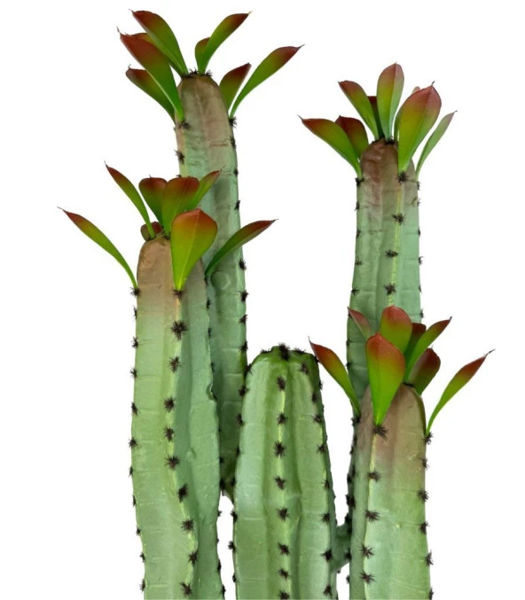 Nettenevime Yapay Çiçek Kaktüs Ağacı 4kollu Kızıl Yapraklı 70*22cm 4027 - Resim 5