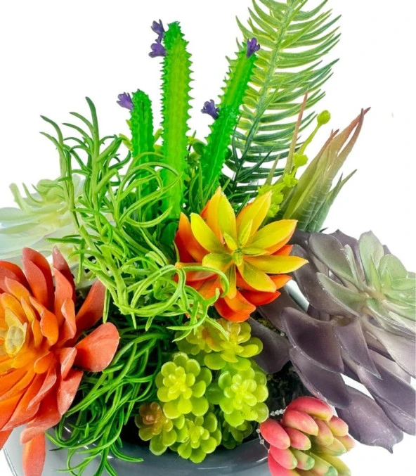 Nettenevime Yapay Çiçek Kaktüs Sukulent Aranjmanı Mokka Renk Plastik Saksıda 10 adet Karışık Model Skulent - 2