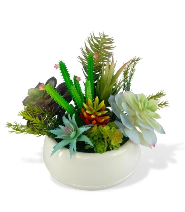 Nettenevime Yapay Çiçek Kaktüs Sukulent Aranjmanı Krem Renk Plastik Saksıda 10 adet Karışık Model Skulent