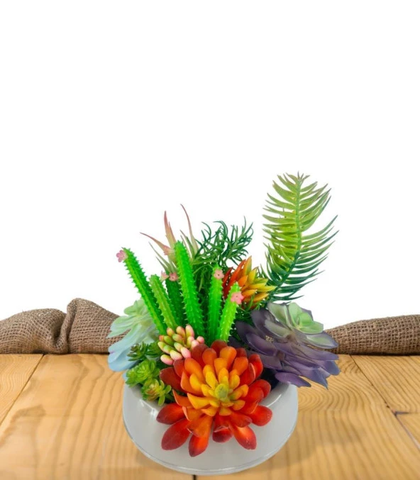 Nettenevime Yapay Çiçek Kaktüs Sukulent Aranjmanı Mokka Renk Plastik Saksıda 10 adet Karışık Model Skulent - 5