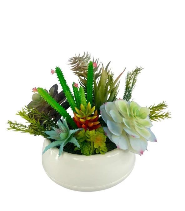 Nettenevime Yapay Çiçek Kaktüs Sukulent Aranjmanı Krem Renk Plastik Saksıda 10 adet Karışık Model Skulent - 2