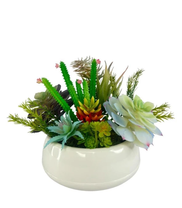 Nettenevime Yapay Çiçek Kaktüs Sukulent Aranjmanı Krem Renk Plastik Saksıda 10 adet Karışık Model Skulent - 3