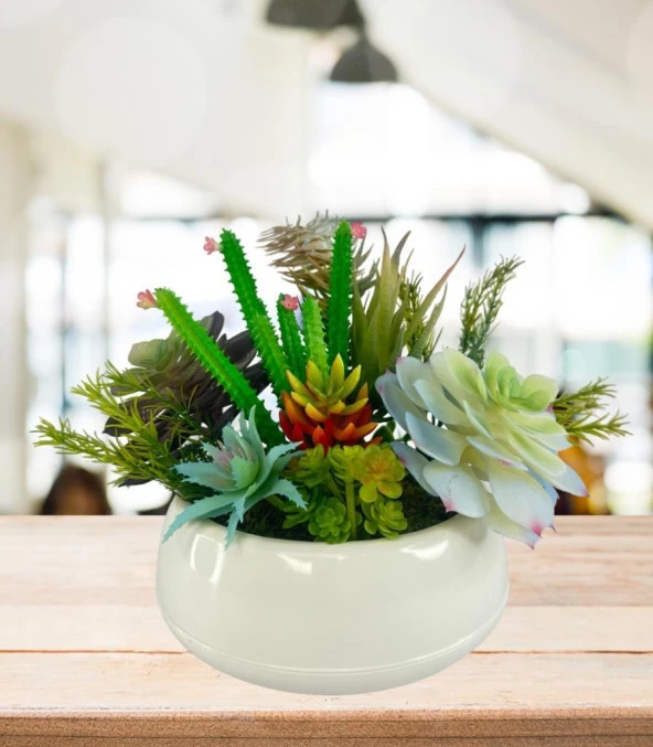 Nettenevime Yapay Çiçek Kaktüs Sukulent Aranjmanı Krem Renk Plastik Saksıda 10 adet Karışık Model Skulent - 4