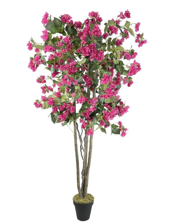 Nettenevime Yapay Begonvil Ağacı 190cm Doğal Görünümlü Yapay Ağaç ürün görseli 1