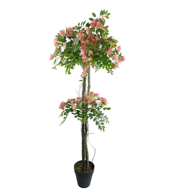Nettenevime Yapay Ağaç Pembe Begonvil Ağacı 2Gövdeli Doğal Salex Dallar 2katlı 180cm - Resim 4