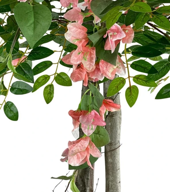 Nettenevime Yapay Ağaç Pembe Begonvil Ağacı 2Gövdeli Doğal Salex Dallar 2katlı 180cm - Resim 6