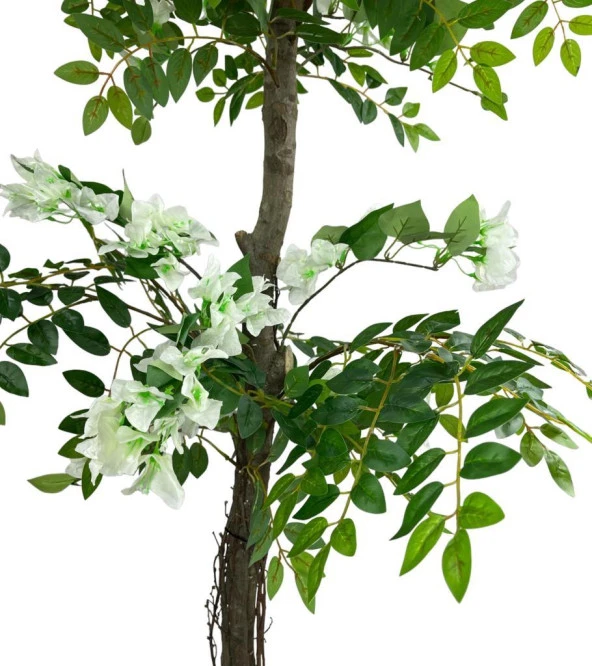 Nettenevime Yapay Ağaç Beyaz Begonvil Ağacı 130cm Doğal Salex Dallı - Resim 7
