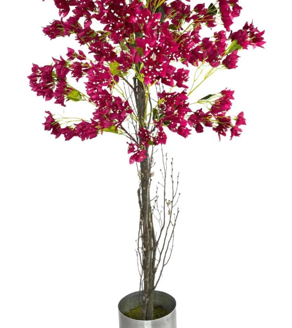 Nettenevime Yapay Fuşya Begonvil Ağacı 195*75cm Doğal Görünümlü Yapay Ağaç Aleminyum Paslanmaz Saksılı - Resim 2