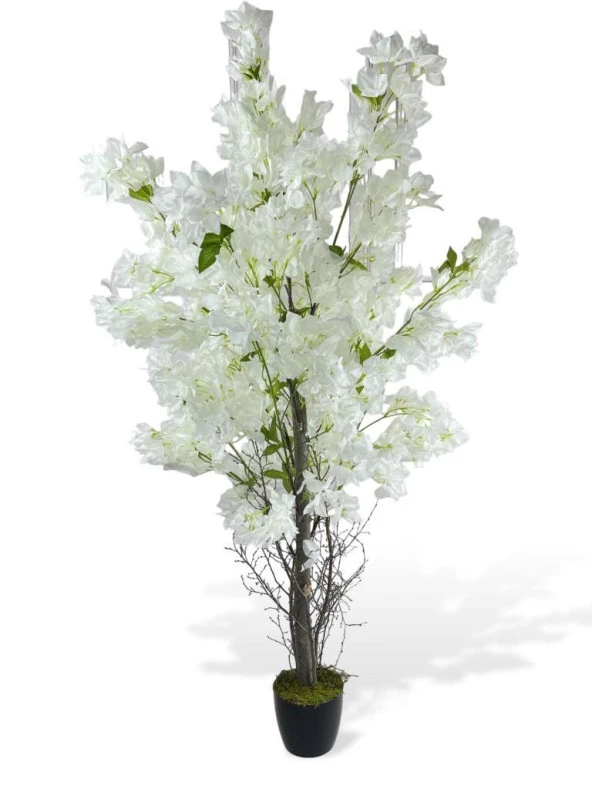 Nettenevime Yapay Ağaç Beyaz Begonvil Ağacı 150*60cm Doğal Görünümlü Yapay Ağaç
