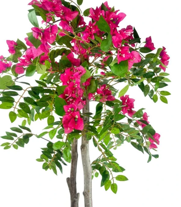 Nettenevime Yapay Ağaç Begonvil Ağacı Fuşya Bodrum Çiçeği Beyaz Kumsal Vazoda 150cm - 6