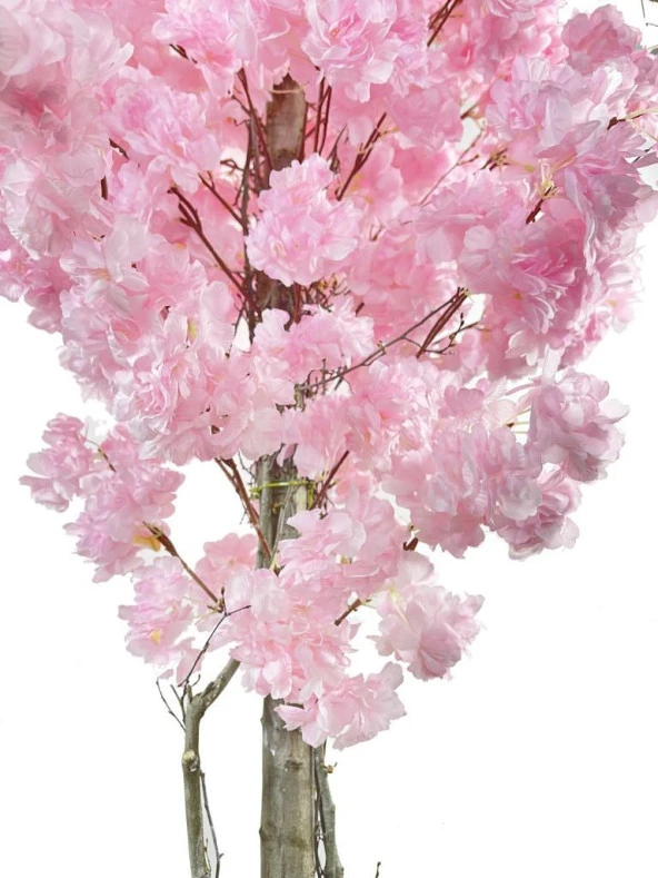 Nettenevime Yapay Ağaç Japon Kiraz Çiçeği Bahardalı Ağacı Gür Yapraklı Pembe 180cm - Resim 3