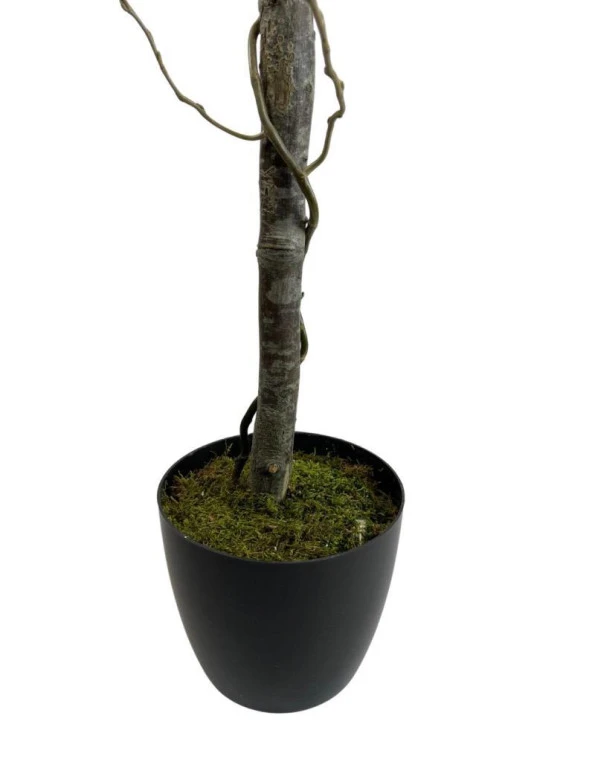 Nettenevime Yapay Ağaç Bahardalı Ağacı Sarı Japon Kiraz Çiçeği Sakura Çiçeği 127x70cm Siyah Plastik Saksılı - Resim 3