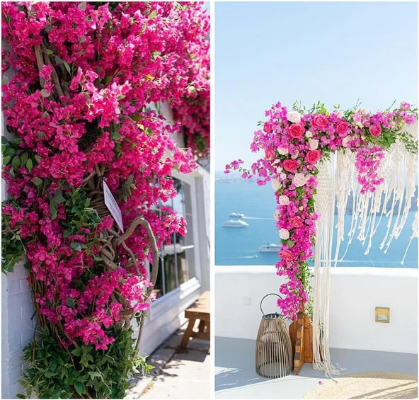 Nettenevime Yapay Çiçek 3Dal Begonvil Çiçeği Fuşya 80cm Tek Dal Bodrum Çiçeği Sarkan Çiçek - Resim 4