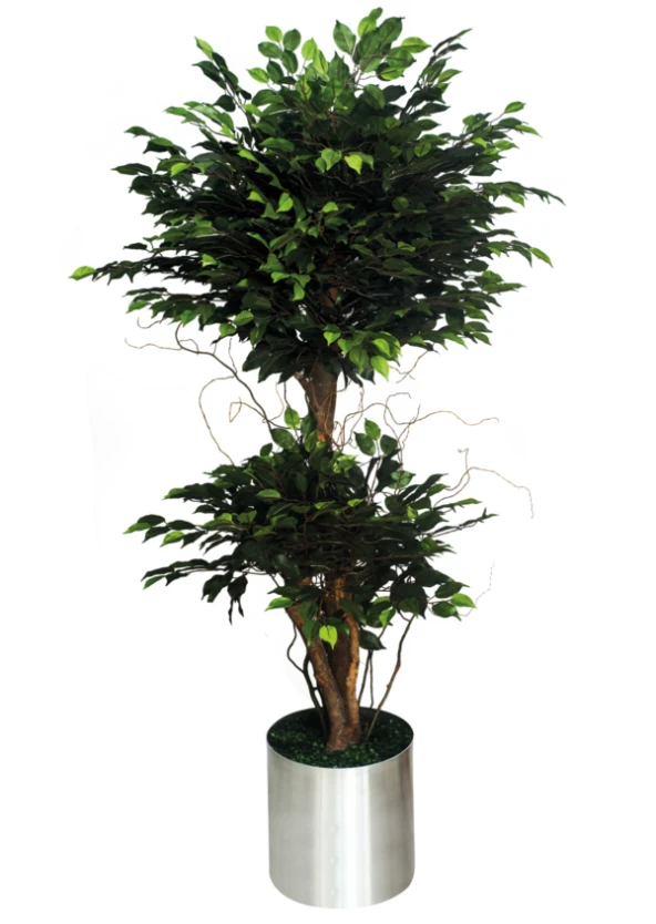 Nettenevime Yapay Ağaç Benjamin İki Katlı Doğal Görünüm 1. Kalite ürün görseli 1