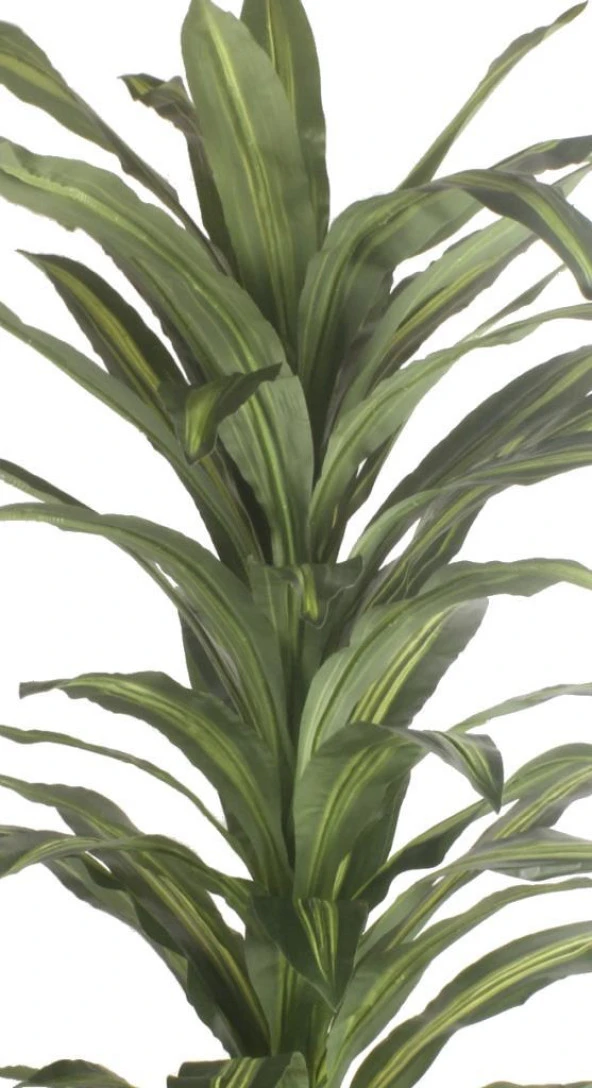 Nettenevime Yapay Çiçek Yukka Ağacı Yapay Ağaç Ofis Ev İçin Dekoratif Ağaç 145 cm - 2