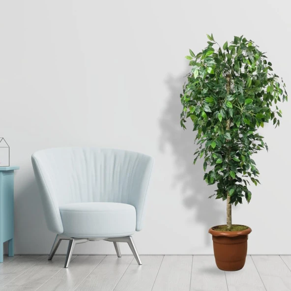 Nettenevime Yapay Ağaç Yeşil Benjamin170 cm Plastik Saksılı 1.Kalite Yapay Çiçek Dekoru - 3