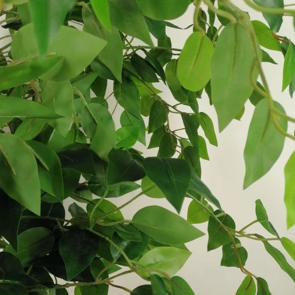 Nettenevime Yapay Ağaç Yeşil Benjamin170 cm Plastik Saksılı 1.Kalite Yapay Çiçek Dekoru - 4