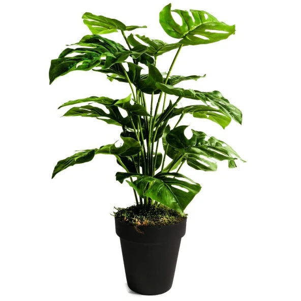 Nettenevime Yapay Ağaç Salon Bitkisi Monstera 60 cm 18 Yaprak Antrasit Saksıda