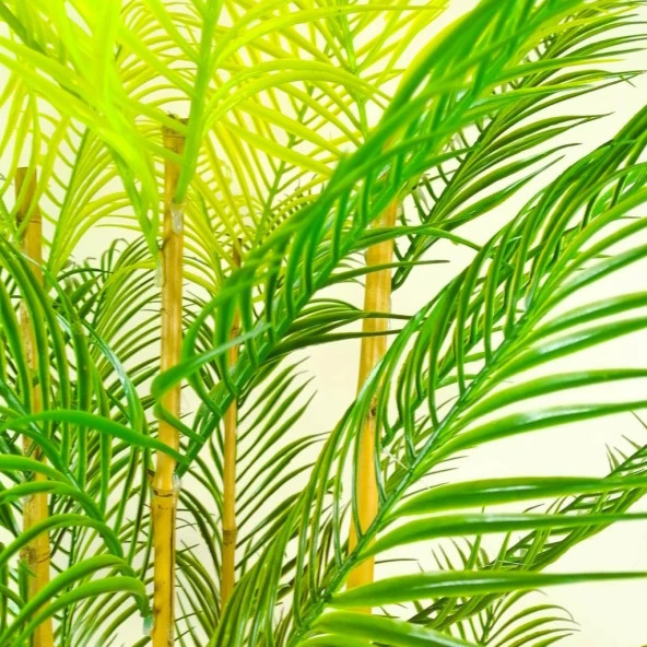 Nettenevime Yapay Ağaç 4 Gövdeli Palmiye Ağacı 180 cm 1.Kalite Yapay Çiçek - Resim 2