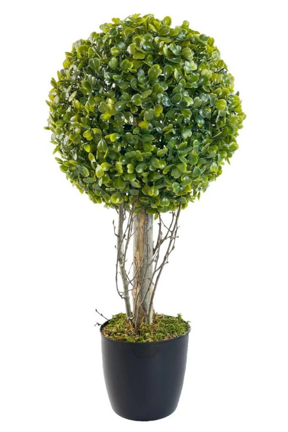 Nettenevime Yapay Ağaç Şimşir Top Tek Toplu 23cmx45cm Siyah Saksılı ürün görseli