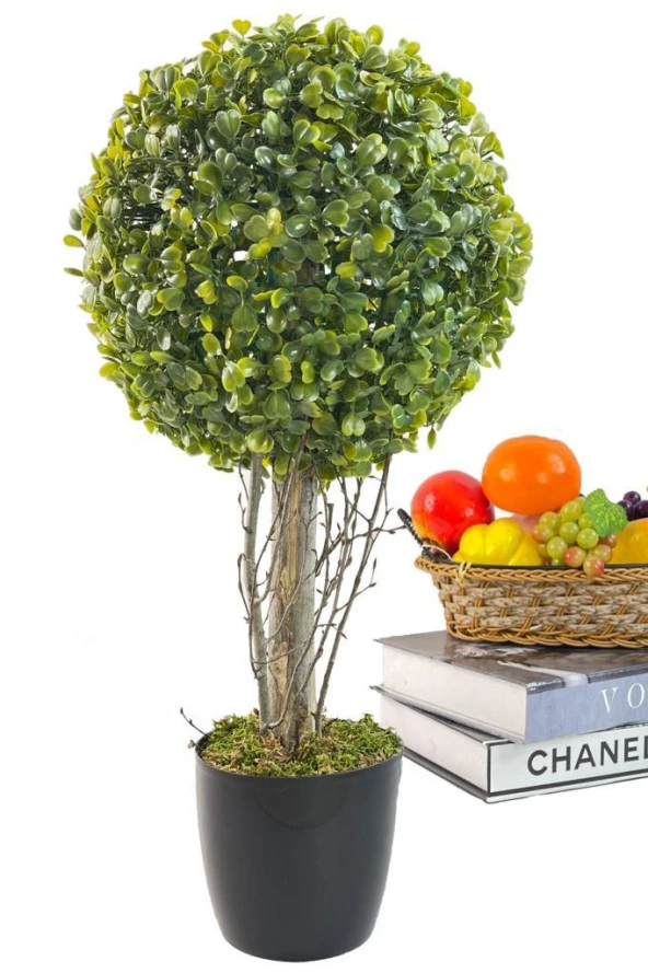 Nettenevime Yapay Ağaç Şimşir Top Tek Toplu 23cmx45cm Siyah Saksılı - Resim 2